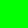 Backdrop: Unicolor Grün