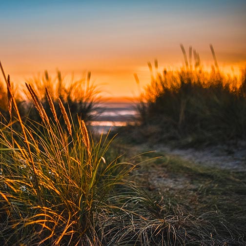 Backdrop: Sonnenuntergang in den Dünen