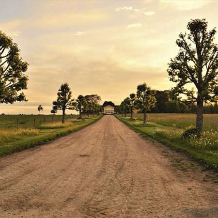 Backdrop: Sommerhaus Allee