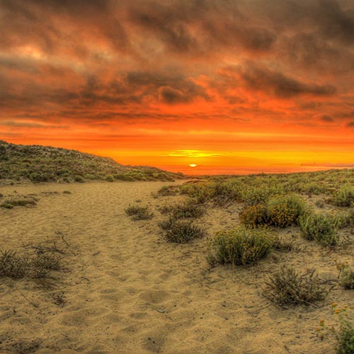 Backdrop: Sonnenuntergang in den Dünen