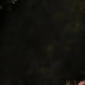 Fotohintergrund: Dunkle Rosen-Romantik – Ausschnitt 150 x 150 cm