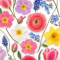 Fotohintergrund: Frühlingsblüten Konfetti – Ausschnitt 150 x 150 cm