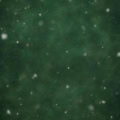 Fotohintergrund: Tannengrün mit Schneefall – Ausschnitt 150 x 150 cm