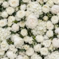 Fotohintergrund: Weiße Blumenwand – Ausschnitt 150 x 150 cm