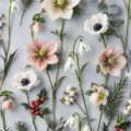 Fotohintergrund: Winterblumen auf Silbergrau – Ausschnitt 150 x 150 cm