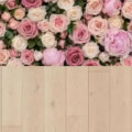 Fotohintergrund 2in1: Rosenwand Rosé mit hellen Dielen – Ausschnitt 150 x 300 cm
