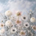 Fotohintergrund: Winterblüten Eishimmel – Ausschnitt 200 x 200 cm