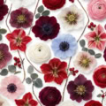 Fotohintergrund: Winterblüten Konfetti – Ausschnitt 200 x 200 cm