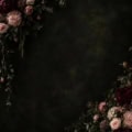Fotohintergrund: Dunkle Rosen-Romantik – Ausschnitt 250 x 250 cm