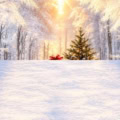 Fotohintergrund 2in1: Schlitten im Schneewald mit Schneeboden – Ausschnitt 150 x 300 cm