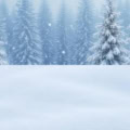 Fotohintergrund 2in1: Winter Tannenwald mit Schneeboden – Ausschnitt 150 x 300 cm