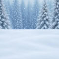 Fotohintergrund 2in1: Winter Tannenwald mit Schneeboden – Ausschnitt 200 x 400 cm