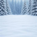 Fotohintergrund 2in1: Winter Tannenwald mit Schneeboden