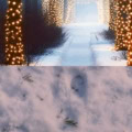 Fotohintergrund 2in1: Winterpfad Lichter mit Schneeboden