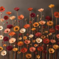 Fotohintergrund: Bunte Herbstblumen