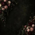 Fotohintergrund: Dunkle Rosen-Romantik