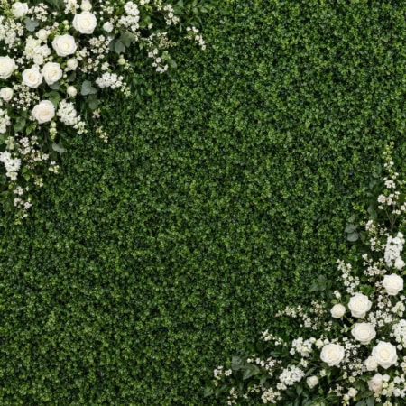 Fotohintergrund: Greenery mit weißen Rosen