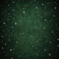 Fotohintergrund: Tannengrün mit Schneefall