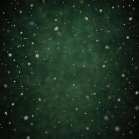 Fotohintergrund: Tannengrün mit Schneefall