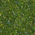 Fotohintergrund: Blumenwiese mit Gänseblümchen – Ausschnitt 150 x 150 cm