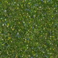 Fotohintergrund: Blumenwiese mit Gänseblümchen – Ausschnitt 200 x 200 cm