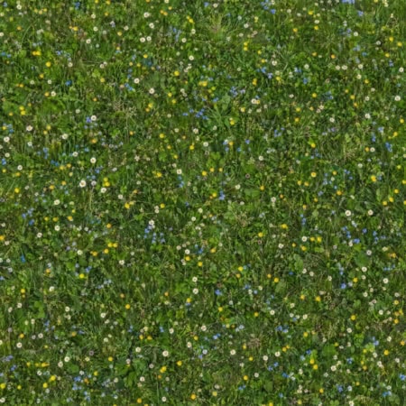 Fotohintergrund: Blumenwiese mit Gänseblümchen
