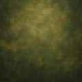 Fotohintergrund: Fine Art Olivgrün – Ausschnitt 250 x 250 cm