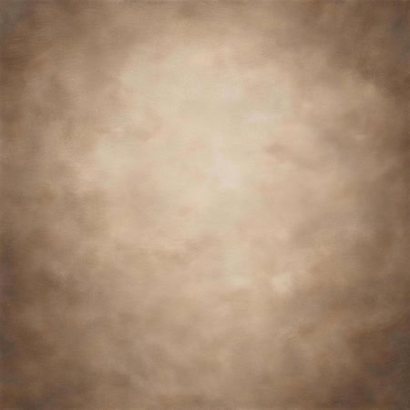 Fotohintergrund: Fine Art Taupe