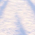 Floor: Schneeboden mit Baumschatten – Ausschnitt 200 x 200 cm