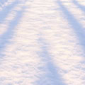 Floor: Schneeboden mit Baumschatten – Ausschnitt 250 x 250 cm