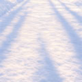 Floor: Schneeboden mit Baumschatten