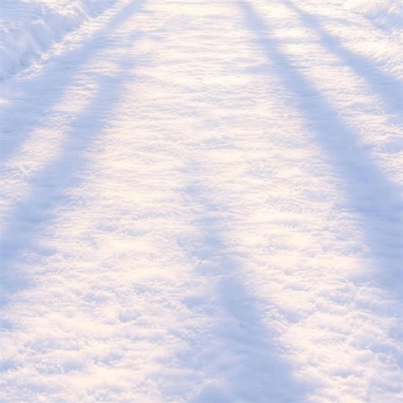 Floor: Schneeboden mit Baumschatten