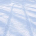 Floor: Schneeboden mit Spuren und Baumschatten – Ausschnitt 250 x 250 cm