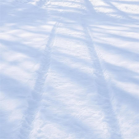Floor: Schneeboden mit Spuren und Baumschatten