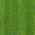Fotohintergrund: Frischer Rasen – Ausschnitt 200 x 200 cm