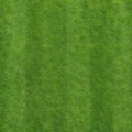 Fotohintergrund: Frischer Rasen – Ausschnitt 250 x 250 cm