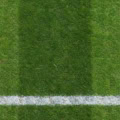 Floor: Fußballrasen mit Seitenlinie – Ausschnitt 200 x 200 cm