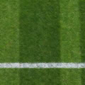 Floor: Fußballrasen mit Seitenlinie – Ausschnitt 250 x 250 cm