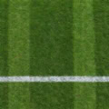 Floor: Fußballrasen mit Seitenlinie