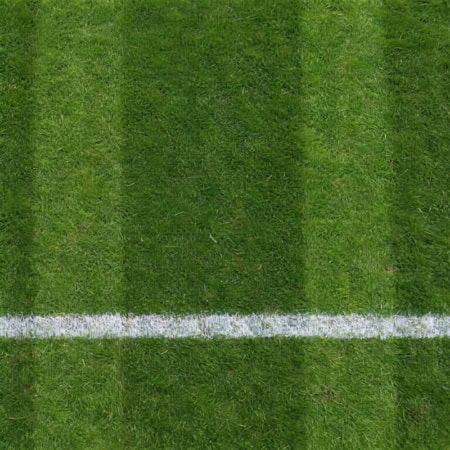 Floor: Fußballrasen mit Seitenlinie