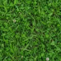 Fotohintergrund: Saftige Sommerwiese – Ausschnitt 150 x 150 cm