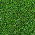 Fotohintergrund: Saftige Sommerwiese – Ausschnitt 200 x 200 cm