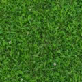 Fotohintergrund: Saftige Sommerwiese – Ausschnitt 250 x 250 cm