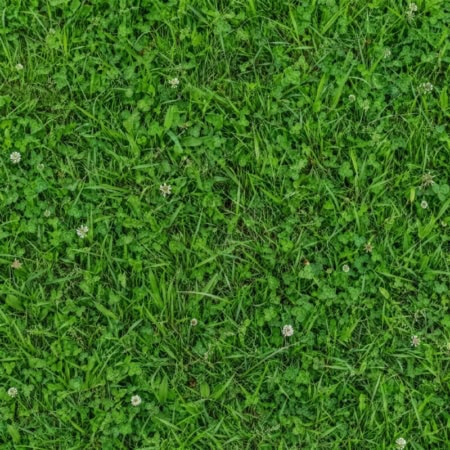 Fotohintergrund: Saftige Sommerwiese