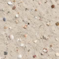 Fotohintergrund: Sandstrand mit Muscheln – Ausschnitt 150 x 150 cm