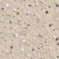Fotohintergrund: Sandstrand mit Muscheln – Ausschnitt 200 x 200 cm