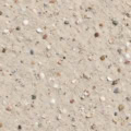 Fotohintergrund: Sandstrand mit Muscheln – Ausschnitt 250 x 250 cm