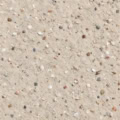 Fotohintergrund: Sandstrand mit Muscheln