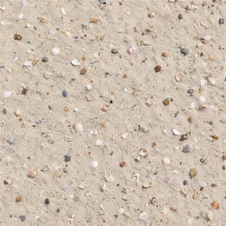Fotohintergrund: Sandstrand mit Muscheln