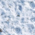Fotohintergrund: Schneeboden – Ausschnitt 200 x 200 cm
